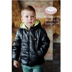Демисезонная курточка для мальчика Baby Angel 765 цвет черный