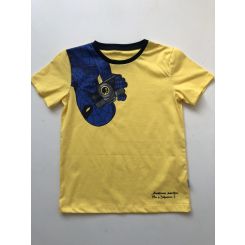 Футболка для хлопців Tair Kids Робінзон, колір жовтий - fu-147513