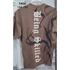 Літня футболка для хлопців Carrinos 5466, колір коричневий
